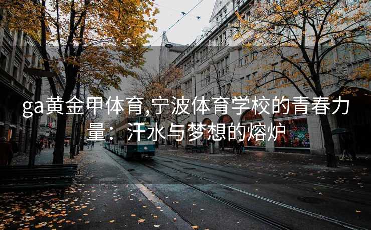 ga黄金甲体育,宁波体育学校的青春力量：汗水与梦想的熔炉