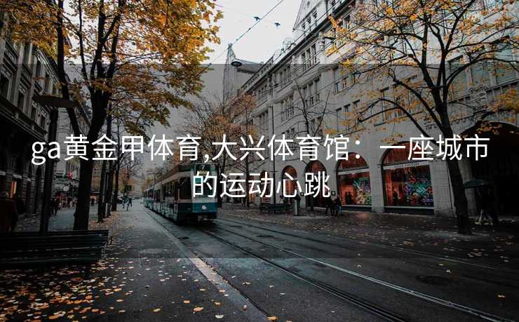 ga黄金甲体育,大兴体育馆：一座城市的运动心跳