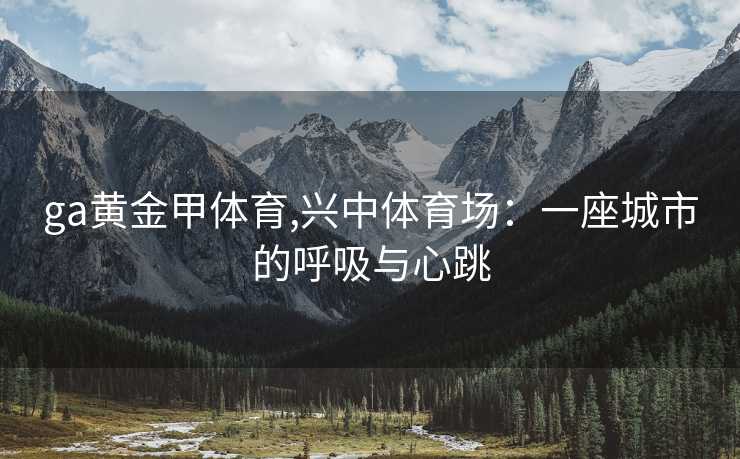 ga黄金甲体育,兴中体育场:一座城市的呼吸与心跳