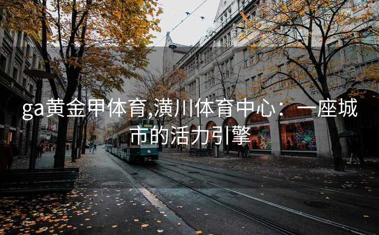ga黄金甲体育,潢川体育中心：一座城市的活力引擎