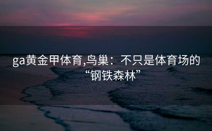 ga黄金甲体育,鸟巢:不只是体育场的“钢铁森林”