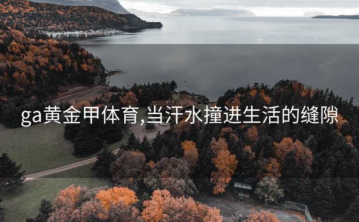 ga黄金甲体育,当汗水撞进生活的缝隙