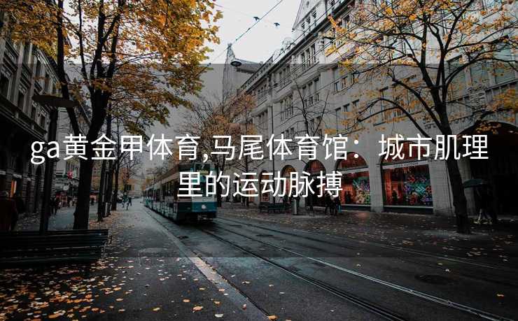 ga黄金甲体育,马尾体育馆：城市肌理里的运动脉搏