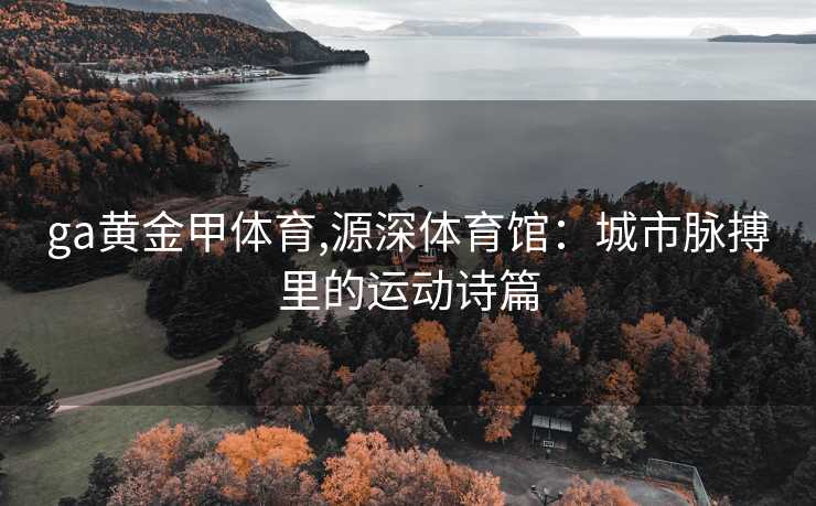 ga黄金甲体育,源深体育馆：城市脉搏里的运动诗篇
